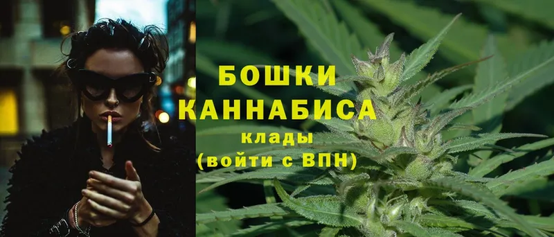 где продают наркотики  Луза  Каннабис сатива 